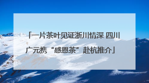 一片茶叶见证浙川情深 四川广元携“感恩茶”赴杭推介