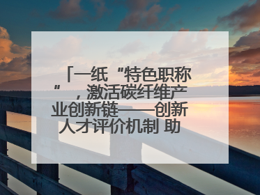 一纸“特色职称”，激活碳纤维产业创新链——创新人才评价机制 助推产业升级