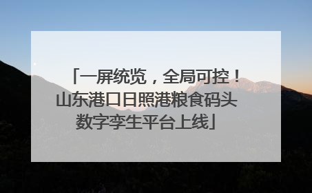 一屏统览，全局可控！山东港口日照港粮食码头数字孪生平台上线