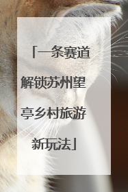 一条赛道解锁苏州望亭乡村旅游新玩法