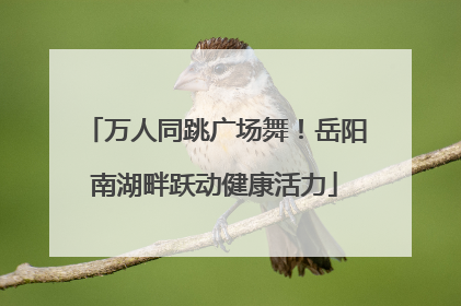 万人同跳广场舞！岳阳南湖畔跃动健康活力