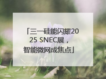 三一硅能闪耀2025 SNEC展，智能微网成焦点