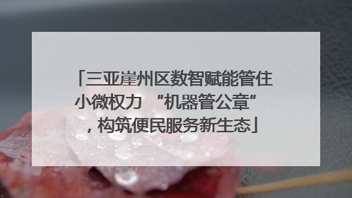 三亚崖州区数智赋能管住小微权力 “机器管公章”，构筑便民服务新生态
