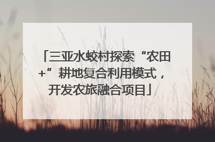 三亚水蛟村探索“农田+”耕地复合利用模式，开发农旅融合项目