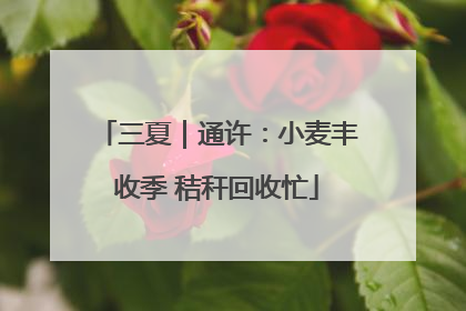 三夏｜通许：小麦丰收季 秸秆回收忙