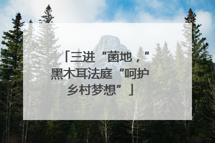 三进“菌地，”黑木耳法庭“呵护乡村梦想”