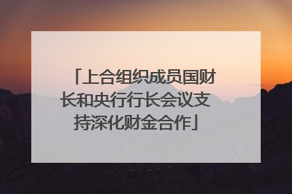 上合组织成员国财长和央行行长会议支持深化财金合作