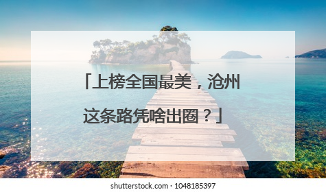 上榜全国最美，沧州这条路凭啥出圈？