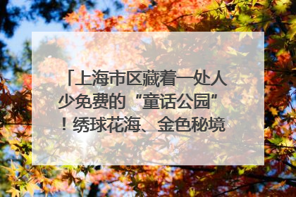 上海市区藏着一处人少免费的“童话公园”！绣球花海、金色秘境……地铁直达→