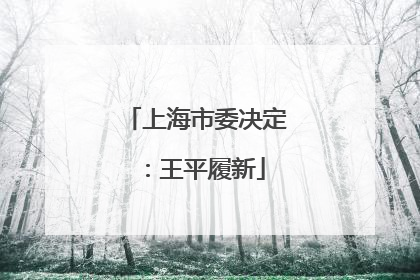 上海市委决定：王平履新