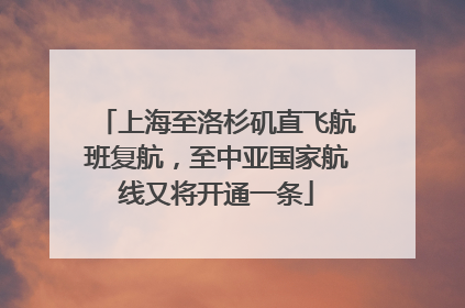 上海至洛杉矶直飞航班复航，至中亚国家航线又将开通一条