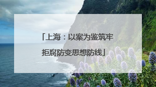 上海：以案为鉴筑牢拒腐防变思想防线