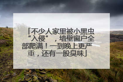 不少人家里被小黑虫“入侵”，墙壁窗户全部爬满！一到晚上更严重，还有一股臭味