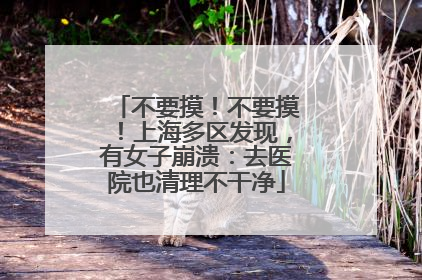 不要摸！不要摸！上海多区发现，有女子崩溃：去医院也清理不干净