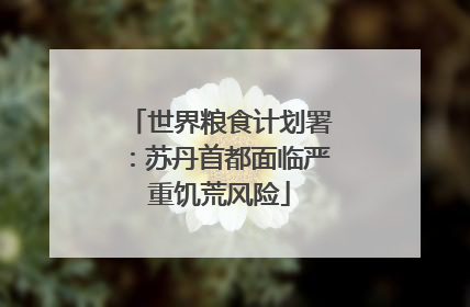 世界粮食计划署：苏丹首都面临严重饥荒风险