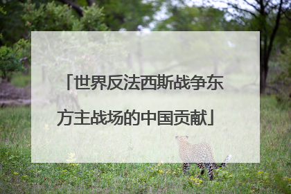 世界反法西斯战争东方主战场的中国贡献