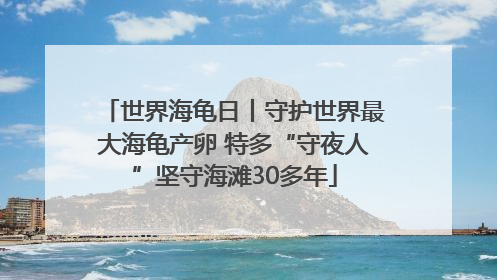 世界海龟日丨守护世界最大海龟产卵 特多“守夜人”坚守海滩30多年