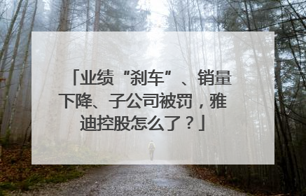 业绩“刹车”、销量下降、子公司被罚，雅迪控股怎么了？