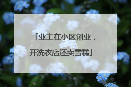 业主在小区创业，开洗衣店还卖雪糕
