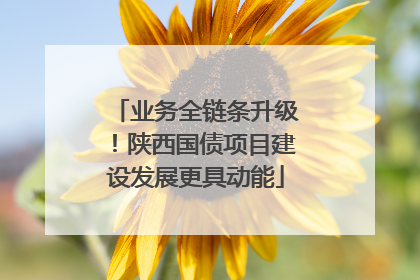 业务全链条升级！陕西国债项目建设发展更具动能