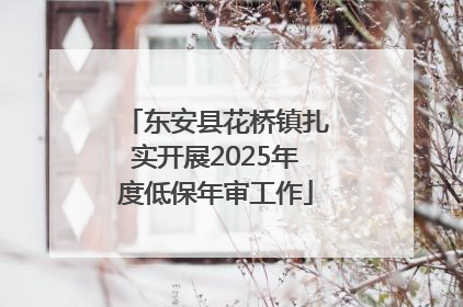东安县花桥镇扎实开展2025年度低保年审工作