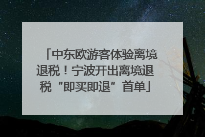 中东欧游客体验离境退税！宁波开出离境退税“即买即退”首单