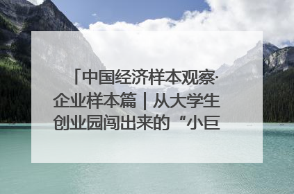 中国经济样本观察·企业样本篇｜从大学生创业园闯出来的“小巨人”——卡诺普机器人的逐梦历程