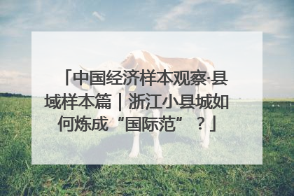 中国经济样本观察·县域样本篇｜浙江小县城如何炼成“国际范”？