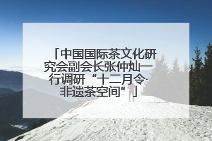 中国国际茶文化研究会副会长张仲灿一行调研“十二月令·非遗茶空间”