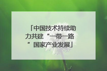 中国技术持续助力共建“一带一路”国家产业发展