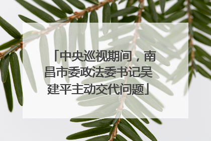中央巡视期间，南昌市委政法委书记吴建平主动交代问题
