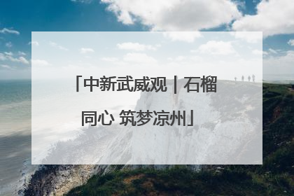 中新武威观|石榴同心 筑梦凉州