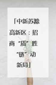 中新苏滁高新区：招商“质”胜 “链”动新局