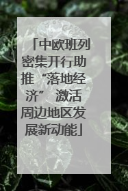 中欧班列密集开行助推“落地经济” 激活周边地区发展新动能