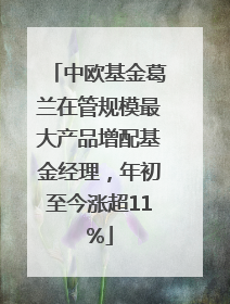 中欧基金葛兰在管规模最大产品增配基金经理，年初至今涨超11%