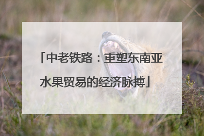 中老铁路：重塑东南亚水果贸易的经济脉搏