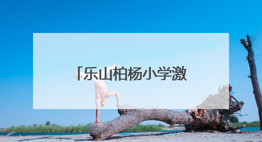 乐山柏杨小学激发学生对数学与科学的探索热情