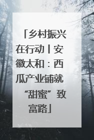 乡村振兴在行动丨安徽太和：西瓜产业铺就“甜蜜”致富路
