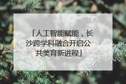 人工智能赋能，长沙跨学科融合开启公共美育新进程