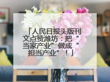 人民日报头版刊文点赞潍坊：把“当家产业”做成“担当产业”！