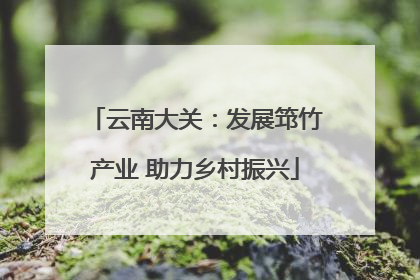 云南大关：发展筇竹产业 助力乡村振兴