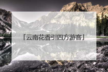 云南花香引四方游客
