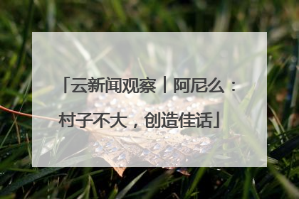 云新闻观察︱阿尼么：村子不大，创造佳话