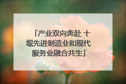 产业双向奔赴 十堰先进制造业和现代服务业融合共生