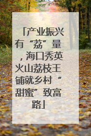 产业振兴有“荔”量，海口秀英火山荔枝王铺就乡村“甜蜜”致富路