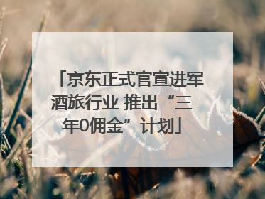 京东正式官宣进军酒旅行业 推出“三年0佣金”计划