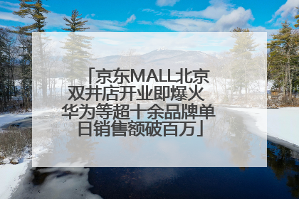 京东MALL北京双井店开业即爆火 华为等超十余品牌单日销售额破百万