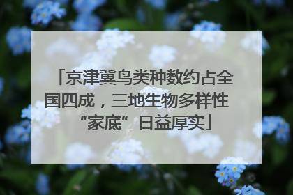 京津冀鸟类种数约占全国四成，三地生物多样性“家底”日益厚实