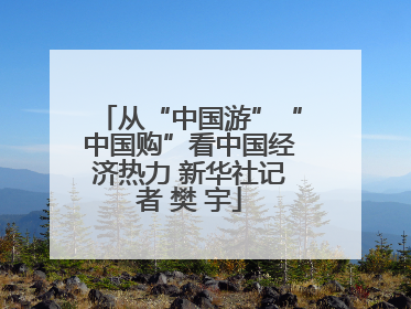 从“中国游”“中国购”看中国经济热力 新华社记者 樊 宇