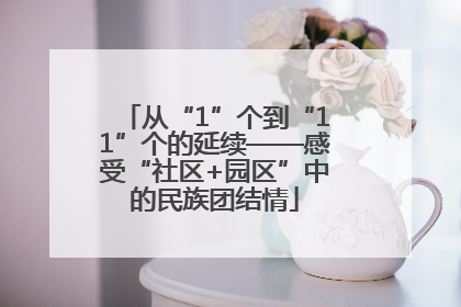 从“1”个到“11”个的延续——感受“社区+园区”中的民族团结情